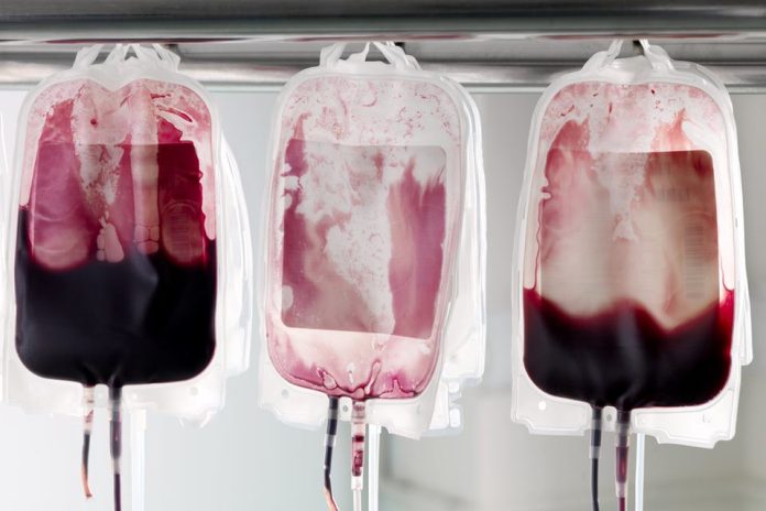Doação de sangue: os principais pontos que você precisa saber