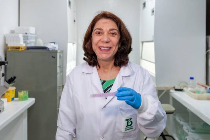 A diretora do CeRDI e do Laboratório de Biofármacos do Butantan, Ana Maria Moro, é responsável pelo desenvolvimento da linhagem celular experimental. Metrópoles