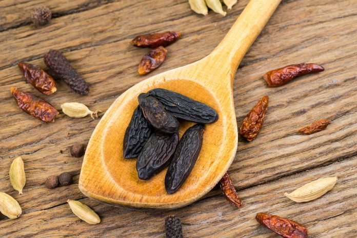 Foto colorida de sementes de cumaru em colher de pau - Metrópoles