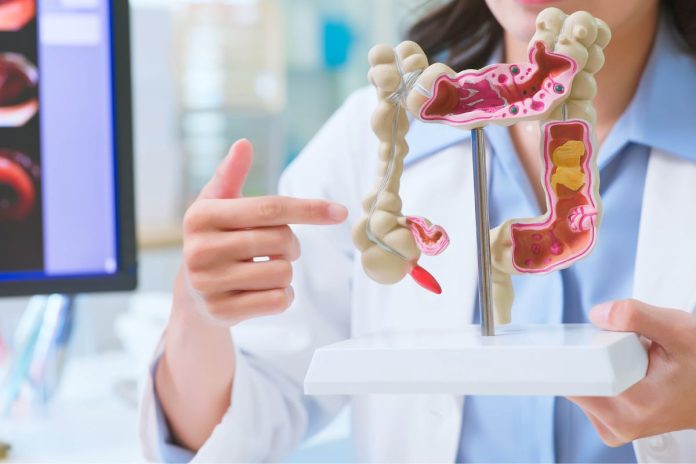 foto colorida médica explicando conexão entre o intestino e o cérebro - Metrópoles